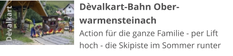 Dèvalkart-Bahn Ober-warmensteinach Action für die ganze Familie - per Lift hoch - die Skipiste im Sommer runter