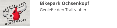 Bikepark Ochsenkopf Genieße den Trailzauber